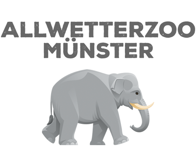 zoo_muenster.png